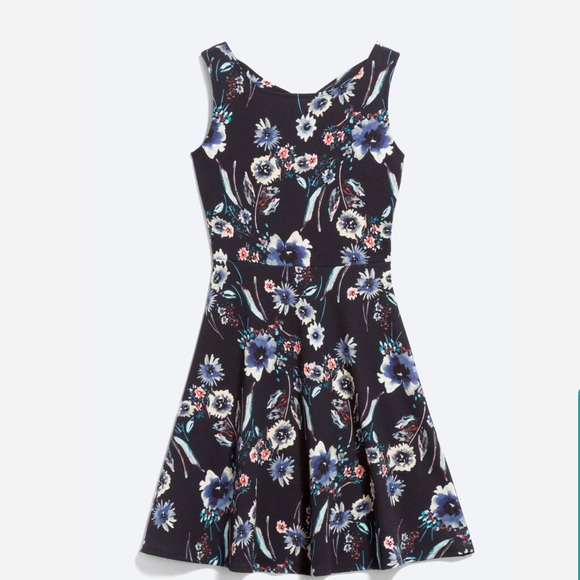 Feya Knit Dress - Picture 2 of 4